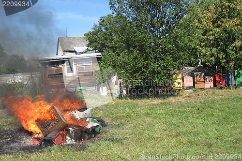 Image of epidemy in the bee farming - destroying beehives