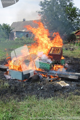 Image of epidemy in the bee farming - destroying beehives