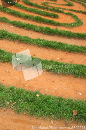 Image of laqbyrinth in the grass 