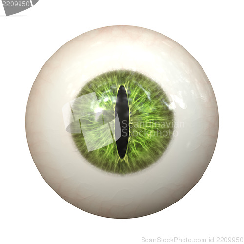Image of eye texture