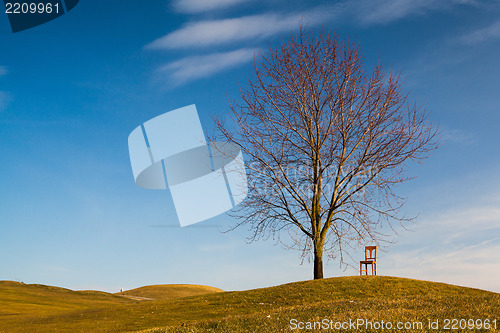 Image of The old chair on the golf course