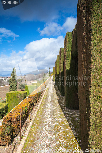 Image of Gardens in Granada in winter