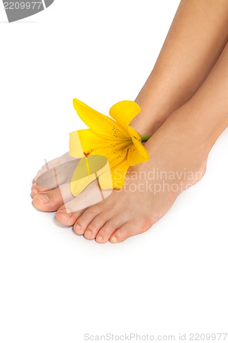 Image of Beautiful woman legs with flower , isolated on white