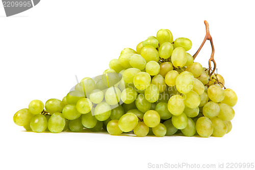 Image of Bunch of Green Grapes laying isolated