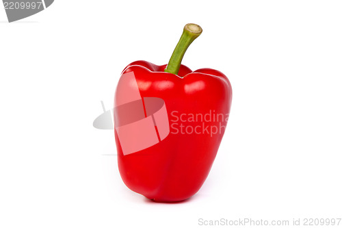 Image of A red bell sweet pepper isolated on white