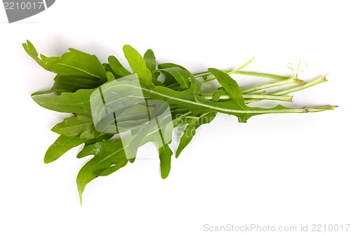 Image of Arugula/rucola  fresh heap leaf on white