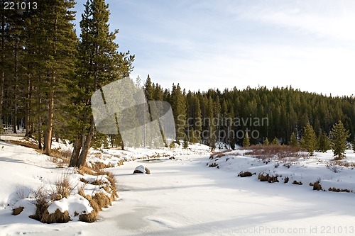 Image of winter landscape