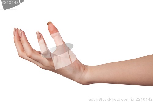 Image of Female hand reaching for something on white