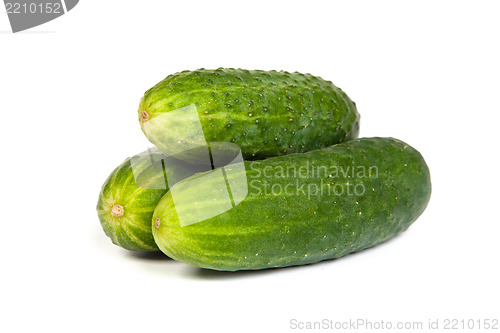 Image of Five Fresh Cucumbers isolated on white