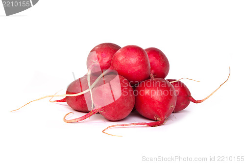 Image of A bunch of fresh radishes isolated on white