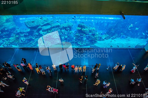 Image of Largest aquarium of the world in Dubai Mall