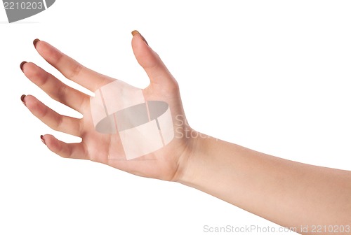 Image of Female hand reaching for something on white