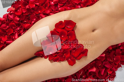 Image of Part of the naked beautiful suntanned female body in petals of s