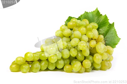 Image of Grape