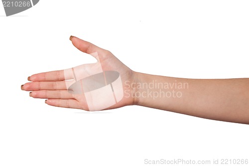 Image of Hand a Female person who is  willing to make a deal isolated on 