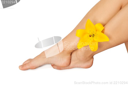 Image of Beautiful woman legs with flower , isolated on white