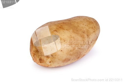 Image of One potato isolated on white