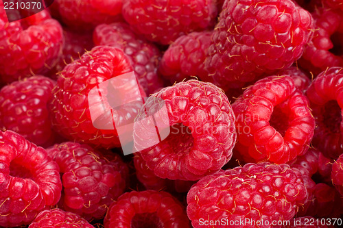 Image of Ripe rasberry fruit horizontal close up background.