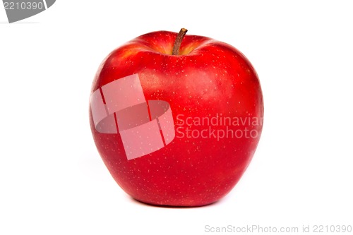 Image of A shiny red apple isolated on white