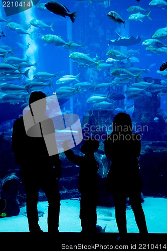 Image of Huge aquarium in a hotel Atlantis in Dubai on the Palm islands