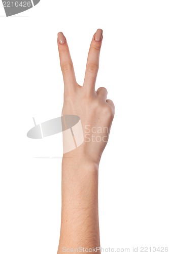 Image of Hand gesture number four closeup isolated on white