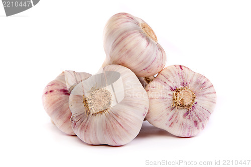 Image of Group of garlics . A heads of garlics isolated