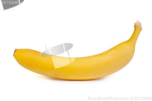 Image of A bunch of bananas isolated