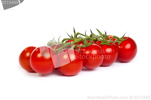 Image of Juicy organic Cherry tomatoes isolated