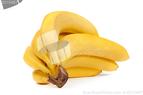 Image of A bunch of bananas isolated