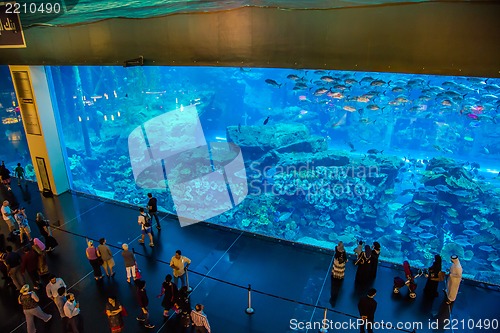 Image of Largest aquarium of the world in Dubai Mall