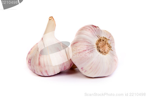 Image of Group of garlics . A heads of garlics isolated