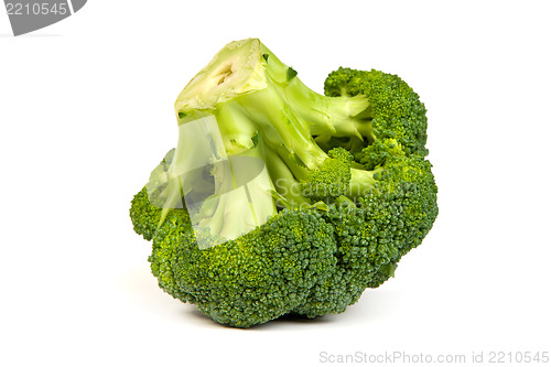 Image of Single broccoli floret isolated on white