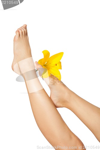 Image of Beautiful woman legs with flower , isolated on white