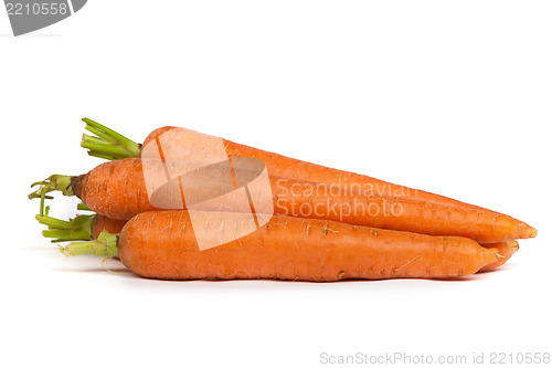 Image of Bunch of fresh carrot isolated on white