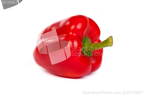 Image of A red bell sweet pepper isolated on white