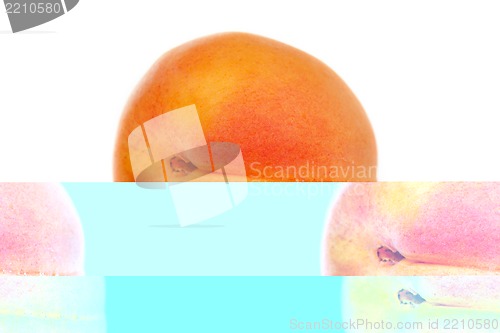 Image of Apricot on a white background