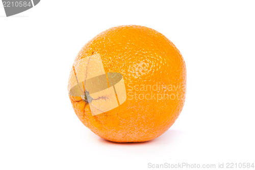 Image of Orange