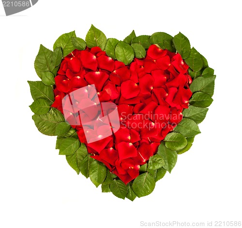 Image of Heart shape made out of rose