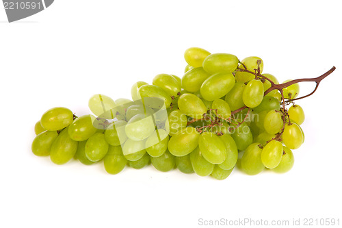 Image of Bunch of Green Grapes laying isolated