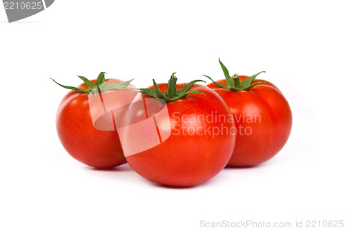 Image of Tomatos