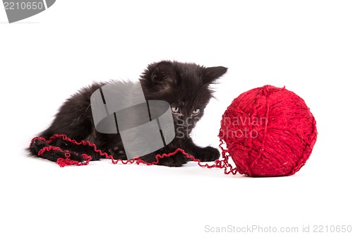 Image of Black kitten playing with a red ball of yarn on white background