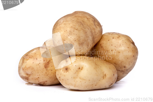 Image of Group of potatoes isolated on white