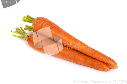 Image of Bunch of fresh carrot isolated on white