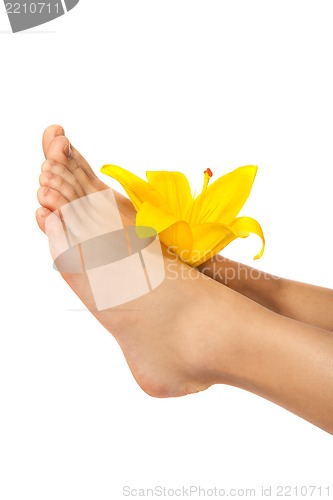 Image of Beautiful woman legs with flower , isolated on white