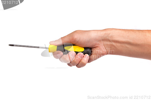 Image of Hand holding a yellow and black screwdriver