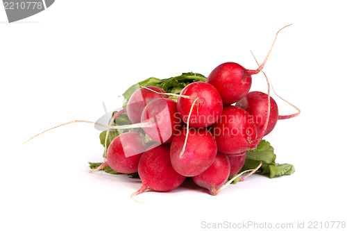 Image of A bunch of fresh radishes isolated on white