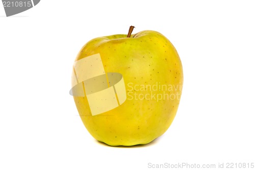 Image of A shiny green apple isolated on white
