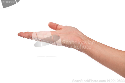 Image of Open palm hand gesture of male hand