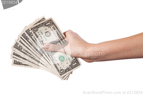 Image of Female hand holding money dollars isolated on white background