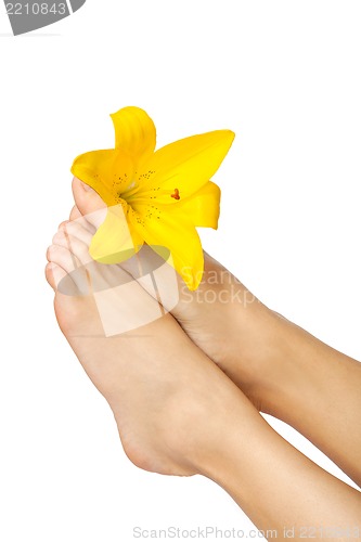 Image of Beautiful woman legs with flower , isolated on white